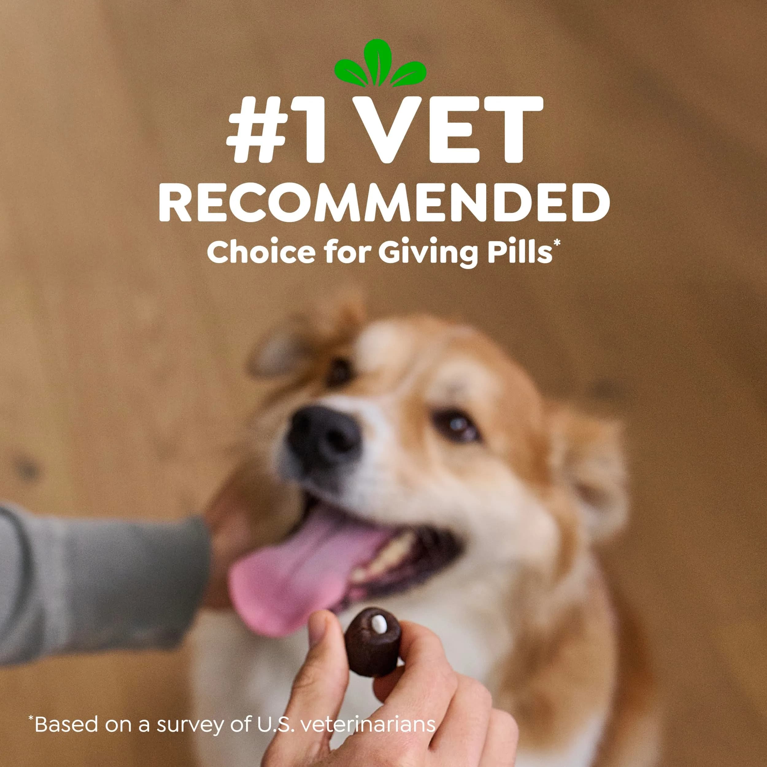 Greenies Peanut Butter Pill Pockets Small Size Dog Treats 30 Count (1.5 oz) | Vet-Recommended for Small Dogs - view 6