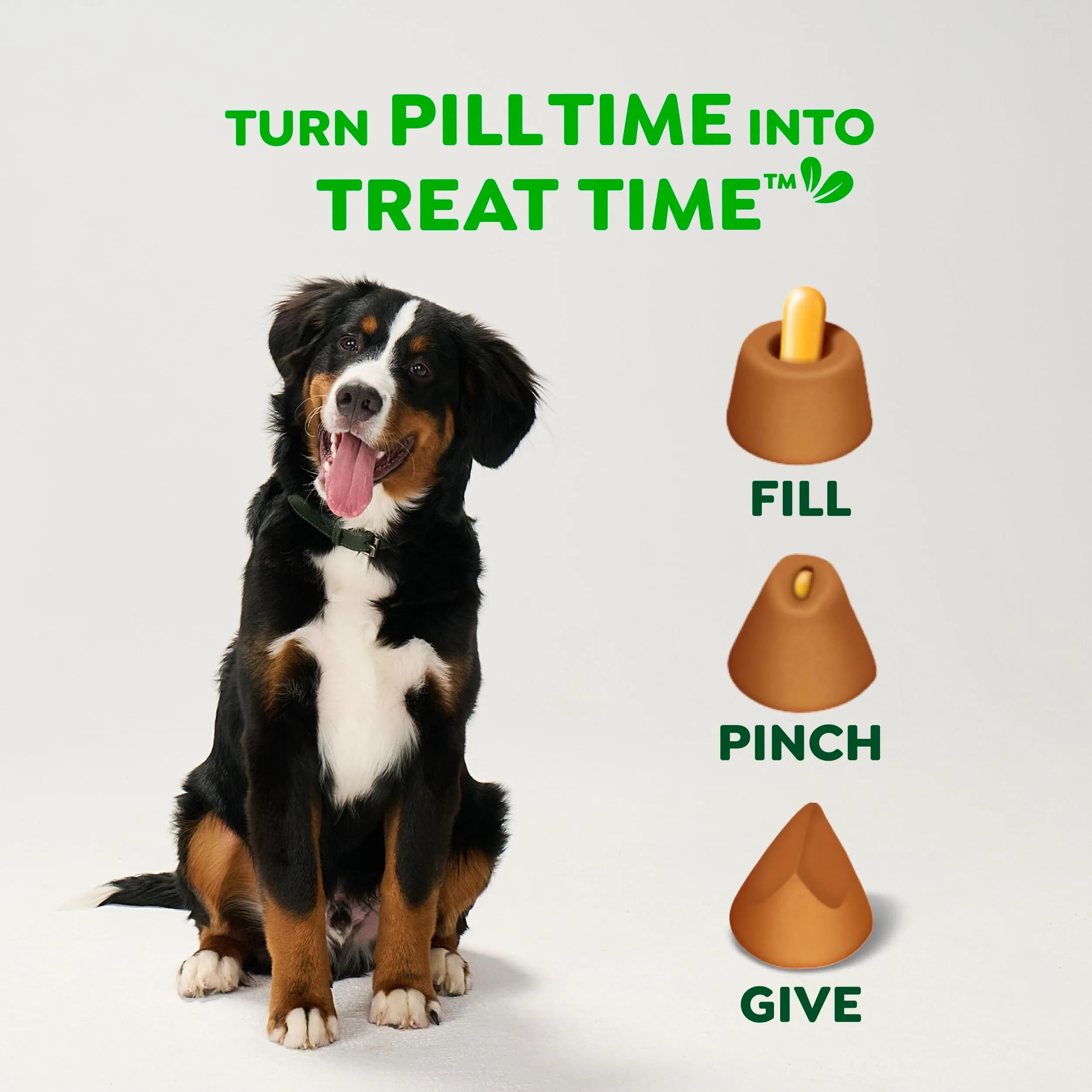 Greenies Pill Pockets Large Size Dog Treats Peanut Butter 30 Count (225 g / 7.9 oz) | Vet-Recommended Pill Masking Treats - view 7