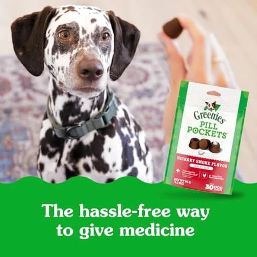 Greenies Pill Pockets Large Size Dog Treats Hickory Smoke 180 Count (30 Count x 6 Packs) | Vet-Recommended Medication Masking Treats thumbnail 4