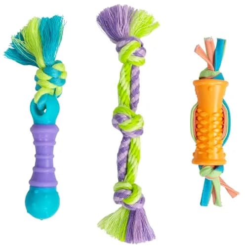 Pupstages Dental Chew Pack Mini Dog Chew Toys, 7" | Supports Healthy Teeth & Gums thumbnail 1