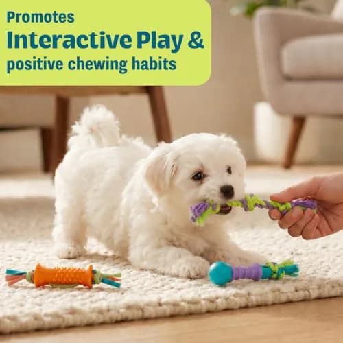 Pupstages Dental Chew Pack Mini Dog Chew Toys, 7" | Supports Healthy Teeth & Gums thumbnail 4