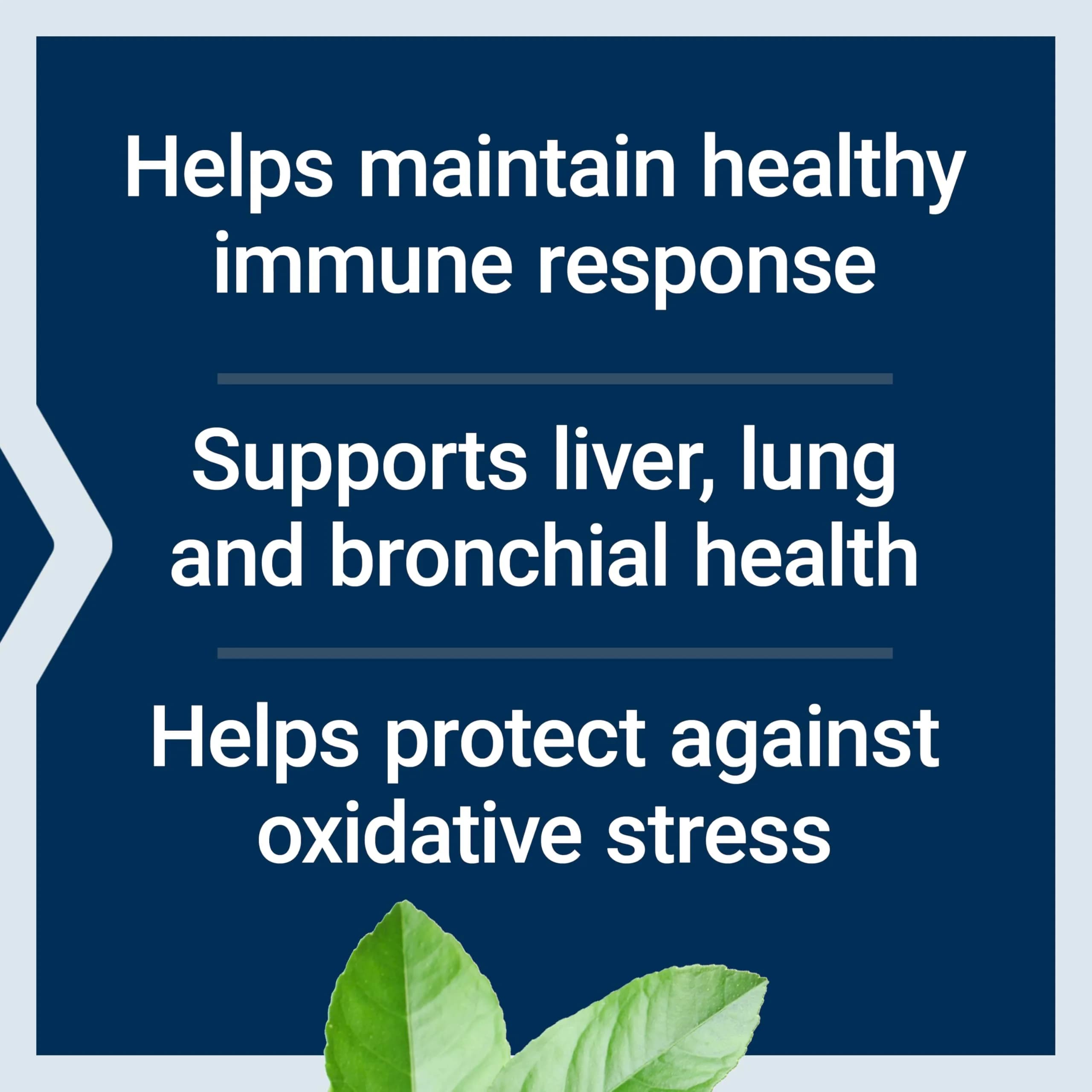 Life Extension N-Acetyl-L-Cysteine (NAC) 600 mg Capsules | Potent Antioxidant Support for Immune, Liver & Respiratory Health - view 4