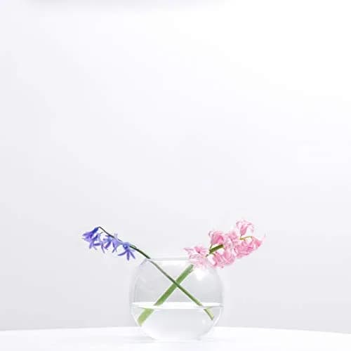 WGVI WGV Bowl Glass Vase Diameter 6" | Clear Bubble Planter for Home Decor thumbnail 4