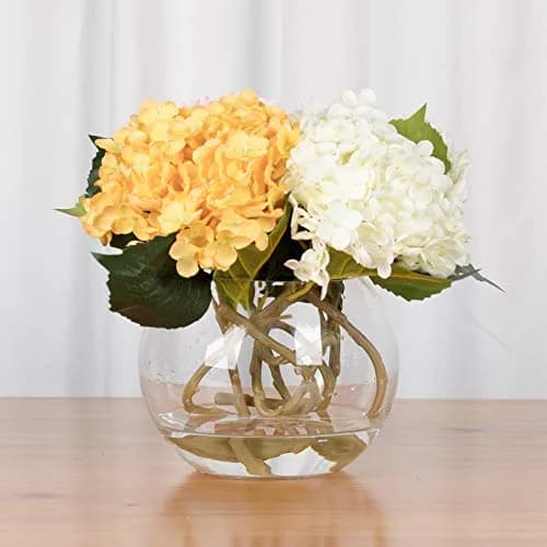 WGVI WGV Bowl Glass Vase Diameter 6" | Clear Bubble Planter for Home Decor thumbnail 6