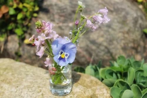 WGVI Thick Clear Cylinder Glass Vase 3" W x 5" H | Elegant Floral Container & Wedding Centerpiece thumbnail 8