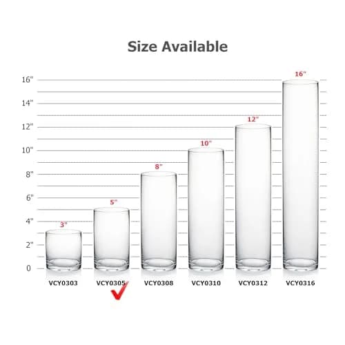 WGVI Thick Clear Cylinder Glass Vase 3" W x 5" H | Elegant Floral Container & Wedding Centerpiece thumbnail 3