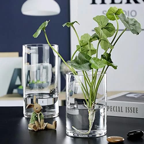 WGVI Thick Clear Cylinder Glass Vase 3" W x 8" H | Elegant Floral Display for Weddings & Home thumbnail 6
