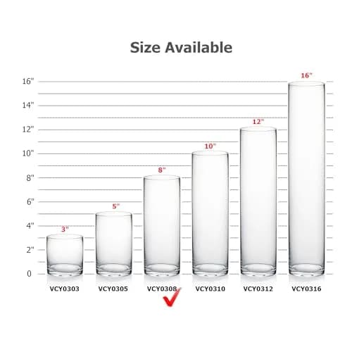 WGVI Thick Clear Cylinder Glass Vase 3" W x 8" H | Elegant Floral Display for Weddings & Home thumbnail 3