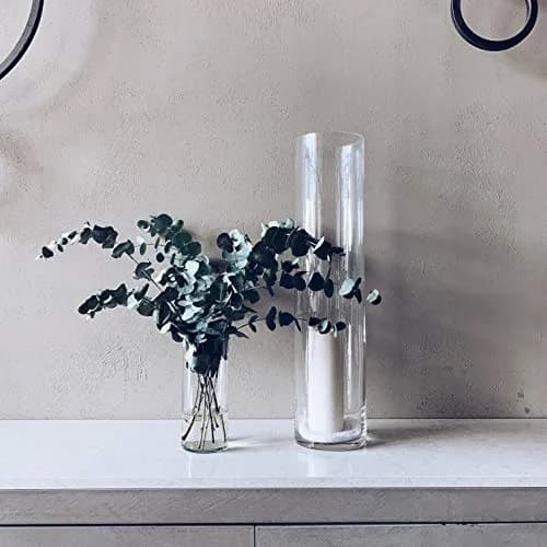 WGVI WGV Cylinder Vase Diameter 5" Height 18" | Clear Glass Floral Planter thumbnail 4