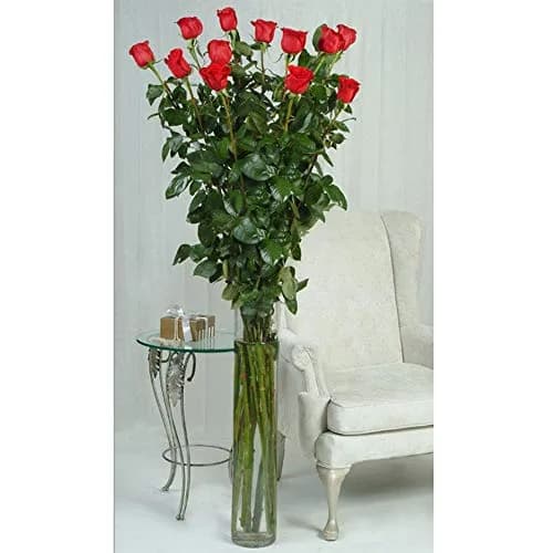WGVI WGV Cylinder Vase Diameter 5" Height 18" | Clear Glass Floral Planter thumbnail 6