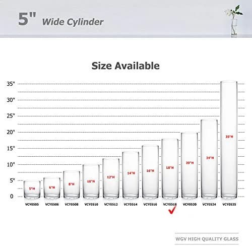 WGVI WGV Cylinder Vase Diameter 5" Height 18" | Clear Glass Floral Planter thumbnail 3