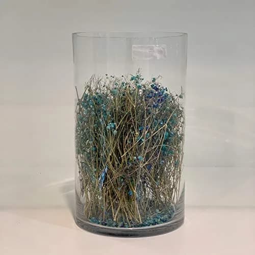 WGVI Clear Cylinder Glass Vase 18cm (7") x 30cm (12") | Handcrafted Home Accent Decor thumbnail 5