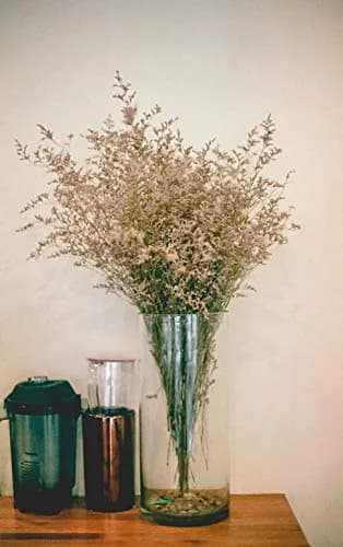 WGVI Clear Cylinder Glass Vase 18cm (7") x 30cm (12") | Handcrafted Home Accent Decor thumbnail 6