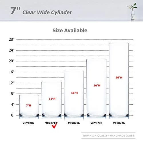 WGVI Clear Cylinder Glass Vase 18cm (7") x 30cm (12") | Handcrafted Home Accent Decor thumbnail 3