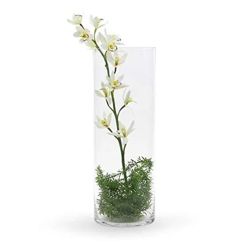 WGVI Clear Cylinder Vase 180 mm (7") x 500 mm (20") | Handcrafted Glassware for Events & Home Decor thumbnail 4