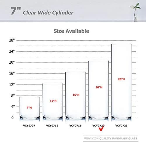 WGVI Clear Cylinder Vase 180 mm (7") x 500 mm (20") | Handcrafted Glassware for Events & Home Decor thumbnail 3