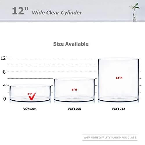 WGVI WGV Cylinder Vase 12"x4" Clear Flat Pan Style | Floral Centerpiece for Wedding & Home Decor thumbnail 3