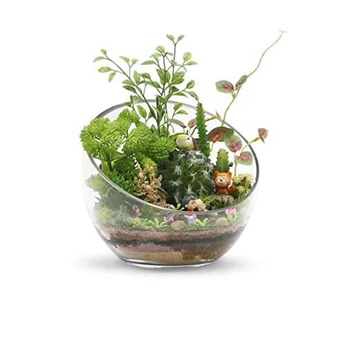 WGVI Clear Slant Cut Bowl Glass Vase, Glass Terrarium, Candy Dish, 7" Width, 6" Height | Handcrafted Minimalist Decor thumbnail 5