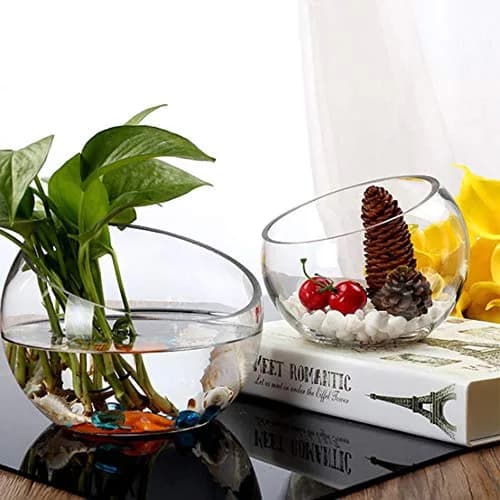 WGVI Clear Slant Cut Bowl Glass Vase, Glass Terrarium, Candy Dish, 7" Width, 6" Height | Handcrafted Minimalist Decor thumbnail 6