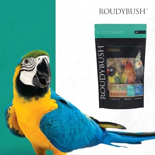 RoudyBush Daily Maintenance Bird Food Mini Pellets 227g (8 oz) | Formulated by Avian Nutritionist thumbnail 8