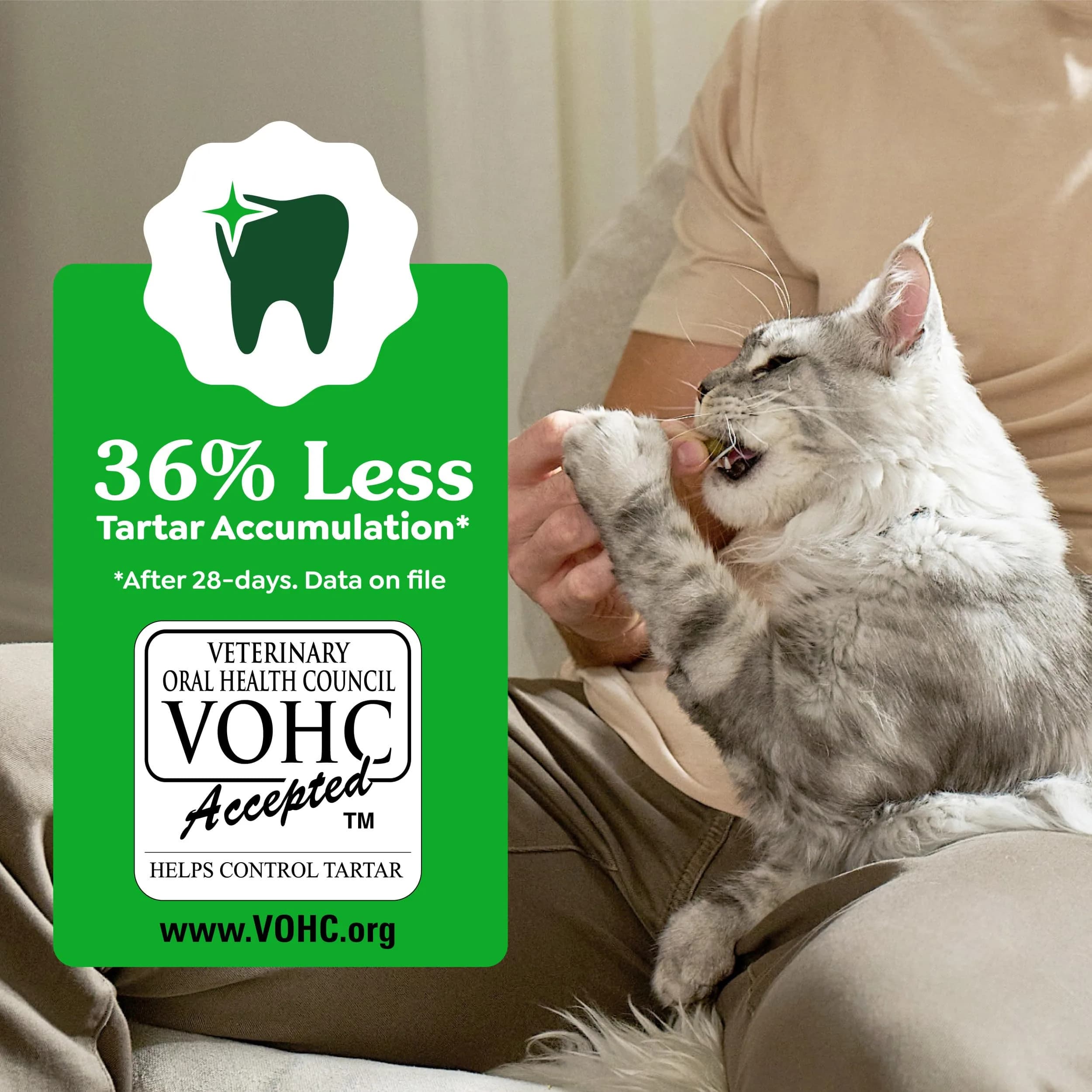 Greenies Feline Natural Dental Cat Treats, Tempting Tuna Flavor, 2.1 oz (60 g) | Vet-Recommended for Daily Dental Care - view 6