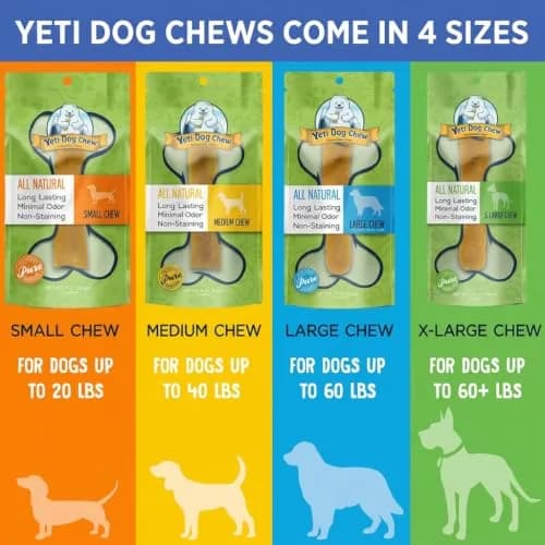 Yeti Himalayan Yak Cheese Dog Chew | Long-Lasting Medium 2.5 oz | Natural, Odor-Free thumbnail 7