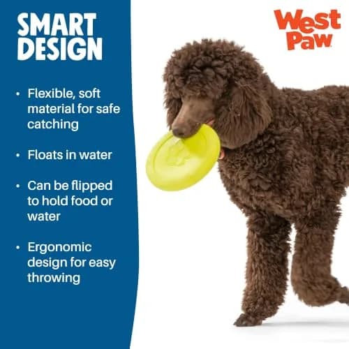WEST PAW Zisc High-Flying Disc Dog Toy - Large - Glow | Durable, Floatable & Eco-Friendly thumbnail 6