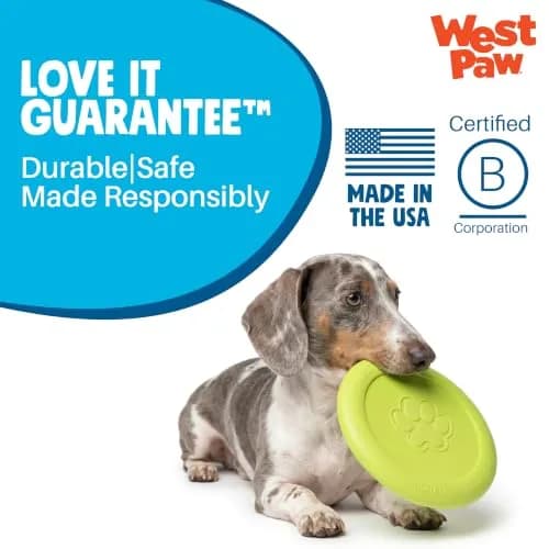 WEST PAW Zisc High-Flying Disc Dog Toy - Large - Glow | Durable, Floatable & Eco-Friendly thumbnail 7