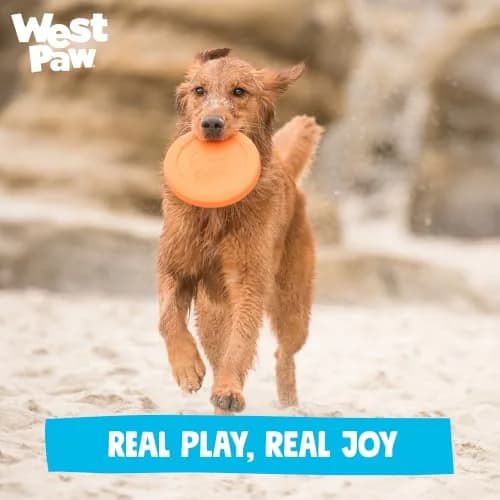 WEST PAW Zisc High-Flying Disc Dog Toy - Large - Glow | Durable, Floatable & Eco-Friendly thumbnail 8