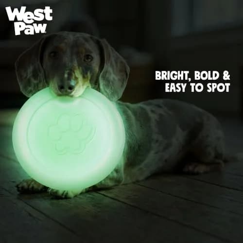 WEST PAW Zisc High-Flying Disc Dog Toy - Small - Glow | Durable, Floatable & Eco-Friendly thumbnail 5