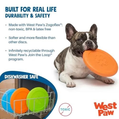 WEST PAW Zisc High-Flying Disc Dog Toy - Small - Glow | Durable, Floatable & Eco-Friendly thumbnail 3