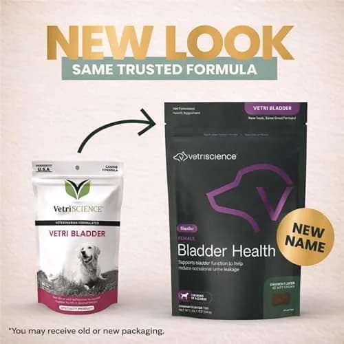 VetriScience Bladder Health Chews for Dogs, Chicken Flavor, 60 Count | Supports Bladder Control & Urinary Health thumbnail 2