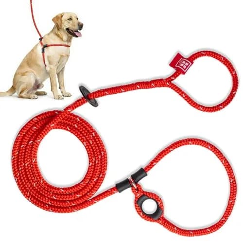 Harness Lead No Pull Dog Harness and Leash Set, Anti Pull Dog Harness for All Breeds and Sizes, One-Piece Cushioned Rope Design Safely Prevents Escaping and Pulling (Medium/Large, Red/Reflective) thumbnail 1
