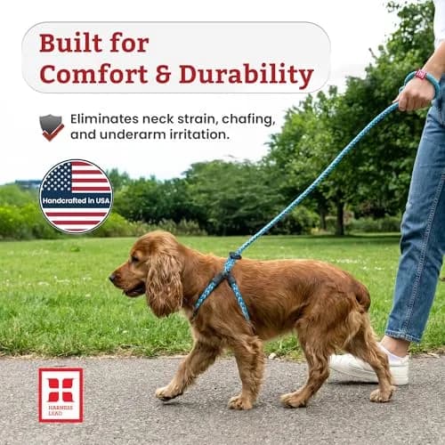 Harness Lead No Pull Dog Harness and Leash Set, Anti Pull Dog Harness for All Breeds and Sizes, One-Piece Cushioned Rope Design Safely Prevents Escaping and Pulling (Medium/Large, Red/Reflective) thumbnail 4