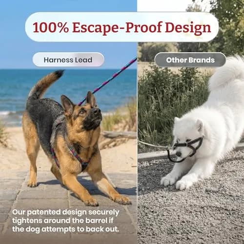Harness Lead No Pull Dog Harness and Leash Set, Anti Pull Dog Harness for All Breeds and Sizes, One-Piece Cushioned Rope Design Safely Prevents Escaping and Pulling (Medium/Large, Red/Reflective) thumbnail 5