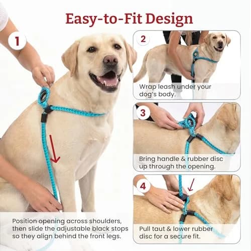 Harness Lead No Pull Dog Harness and Leash Set, Anti Pull Dog Harness for All Breeds and Sizes, One-Piece Cushioned Rope Design Safely Prevents Escaping and Pulling (Medium/Large, Red/Reflective) thumbnail 3