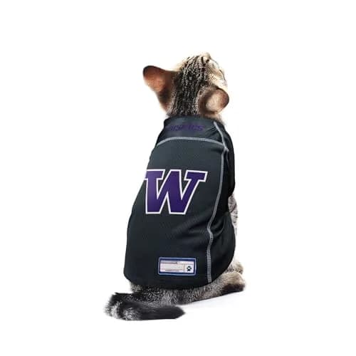 Littlearth NCAA Washington Huskies Basic Pet Jersey, Small | Team Color, Officially Licensed thumbnail 4