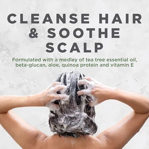 Avalon Organics Tea Tree Shampoo 11 Fl Oz | Scalp Well-Being & Hair Softness thumbnail 3