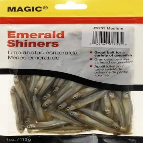MAGIC Preserved Minnows Fishing Bait Medium/4-Ounce | Life-Like Fish Bait for Game Fish thumbnail 1