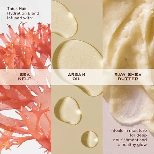 Shea Moisture Raw Shea Butter Deep Moisturizing Conditioner 390ml (13 Fl Oz) | Hydrates Dry, Damaged Curly Hair thumbnail 4