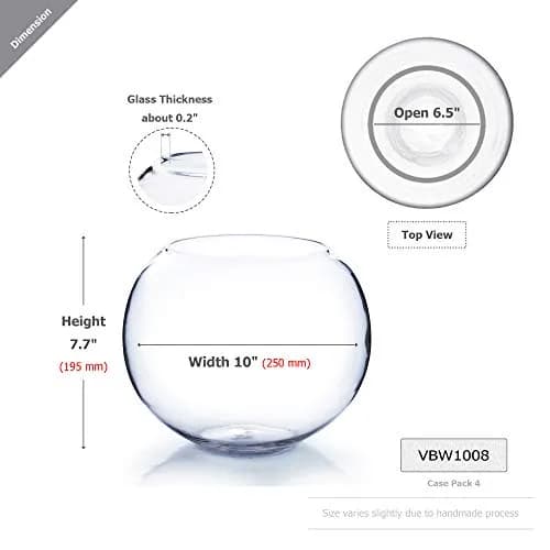WGVI Large Glass Bubble Vase 23cm (9"D) | Handcrafted Clear Decorative Bowl for Home & Events thumbnail 2