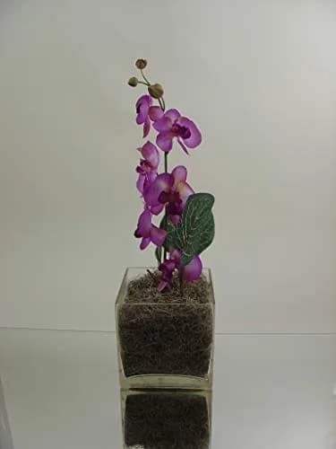 WGVI WGV Cube Glass Vase 6" Clear Elegant Floral Accent Container thumbnail 4
