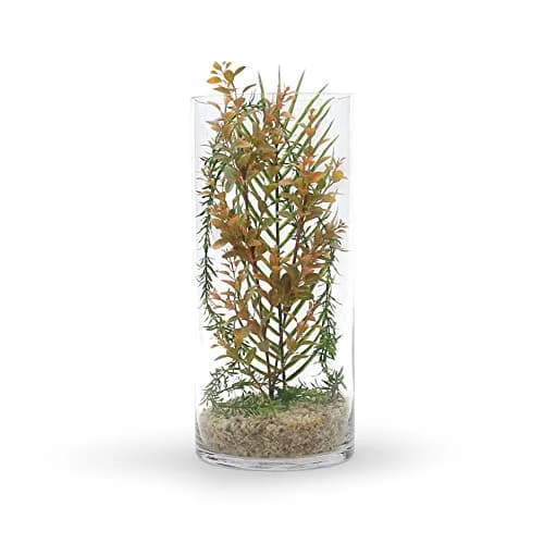WGVI Clear Cylinder Glass Vase 18 cm (7") x 40 cm (15.75") | Large Diameter Floral Container for Weddings & Home Decor thumbnail 4