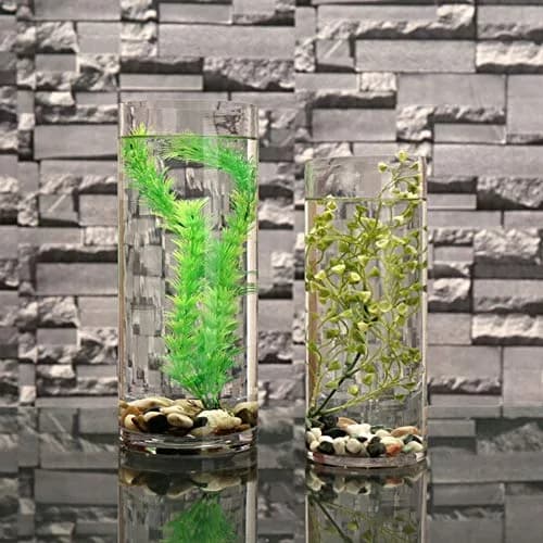 WGVI Clear Cylinder Glass Vase 18 cm (7") x 40 cm (15.75") | Large Diameter Floral Container for Weddings & Home Decor thumbnail 6
