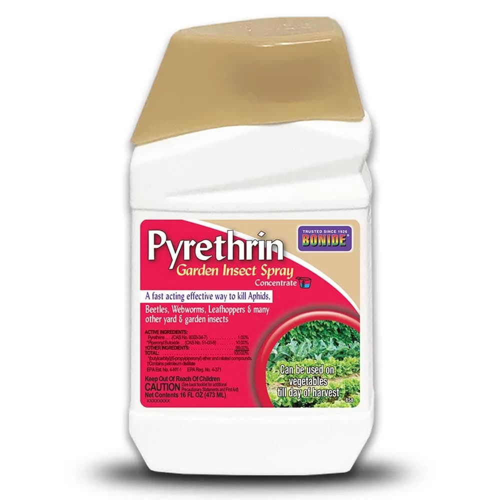 Bonide Pyrethrin Garden Insect Spray Concentrate 16 oz (473 ml) | Kills Aphids, Beetles, Webworms & More - main product image