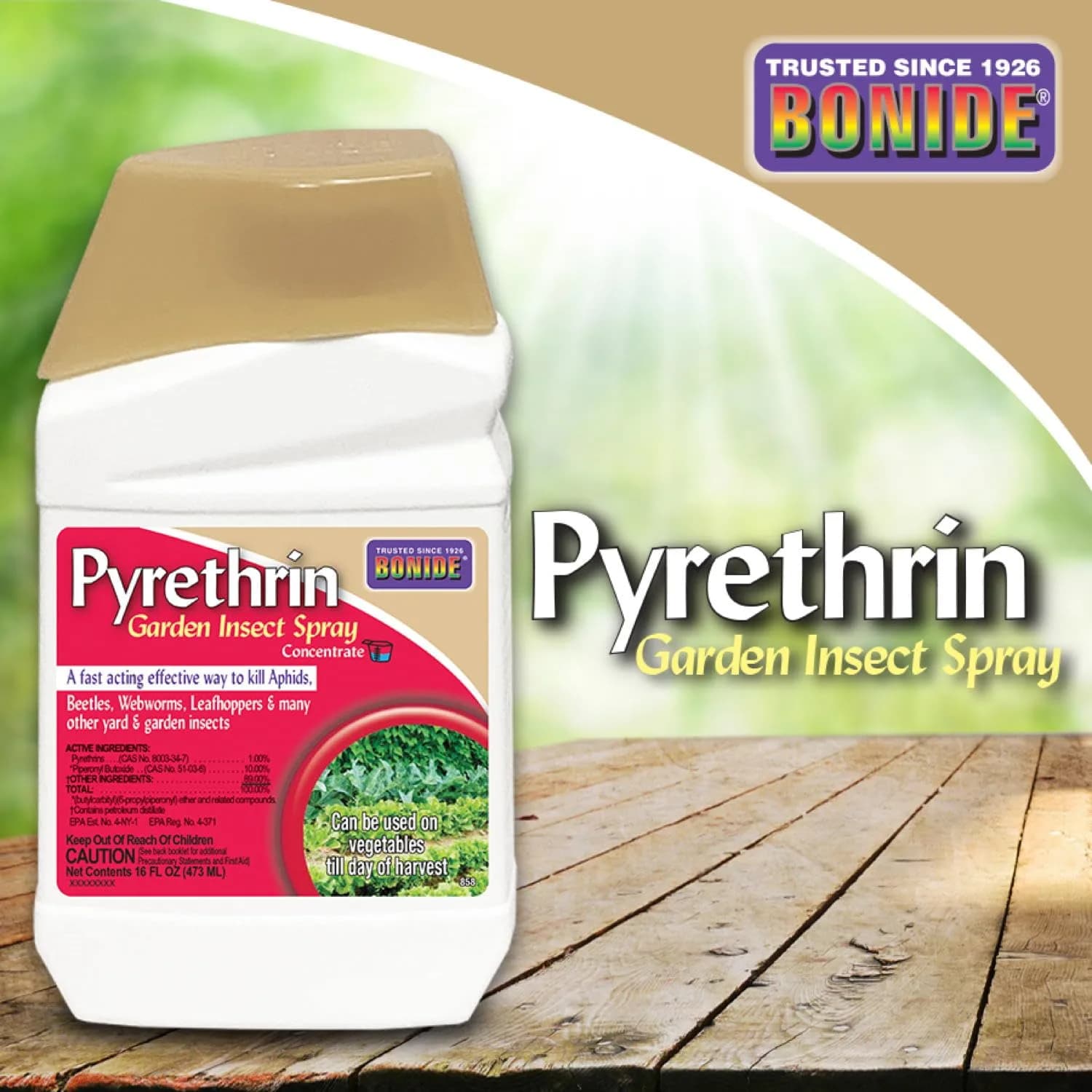 Bonide Pyrethrin Garden Insect Spray Concentrate 16 oz (473 ml) | Kills Aphids, Beetles, Webworms & More - view 7