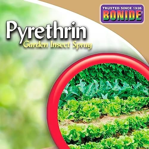 Bonide Pyrethrin Garden Insect Spray Concentrate 16 oz (473 ml) | Kills Aphids, Beetles, Webworms & More thumbnail 9