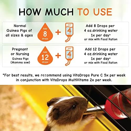 Kordon Oasis Vita-Drops-Pure C for Guinea Pig 2 Fl Oz | Supports Immune & Well-being thumbnail 5