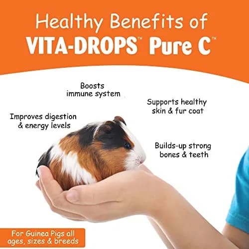 Kordon Oasis Vita-Drops-Pure C for Guinea Pig 2 Fl Oz | Supports Immune & Well-being thumbnail 3