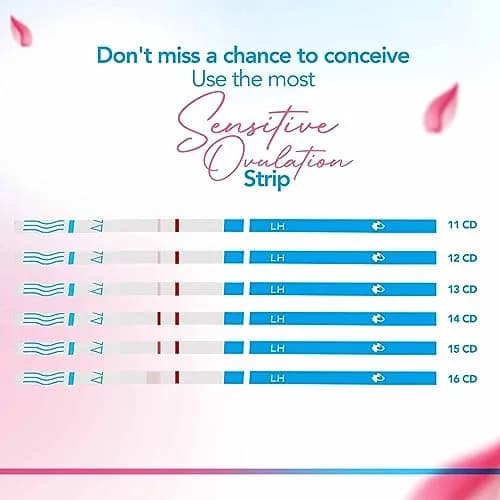 Clinical Guard Ovulation & Pregnancy Test Kit 30 Count | Fast, Accurate Fertility & Early Pregnancy Detection thumbnail 6